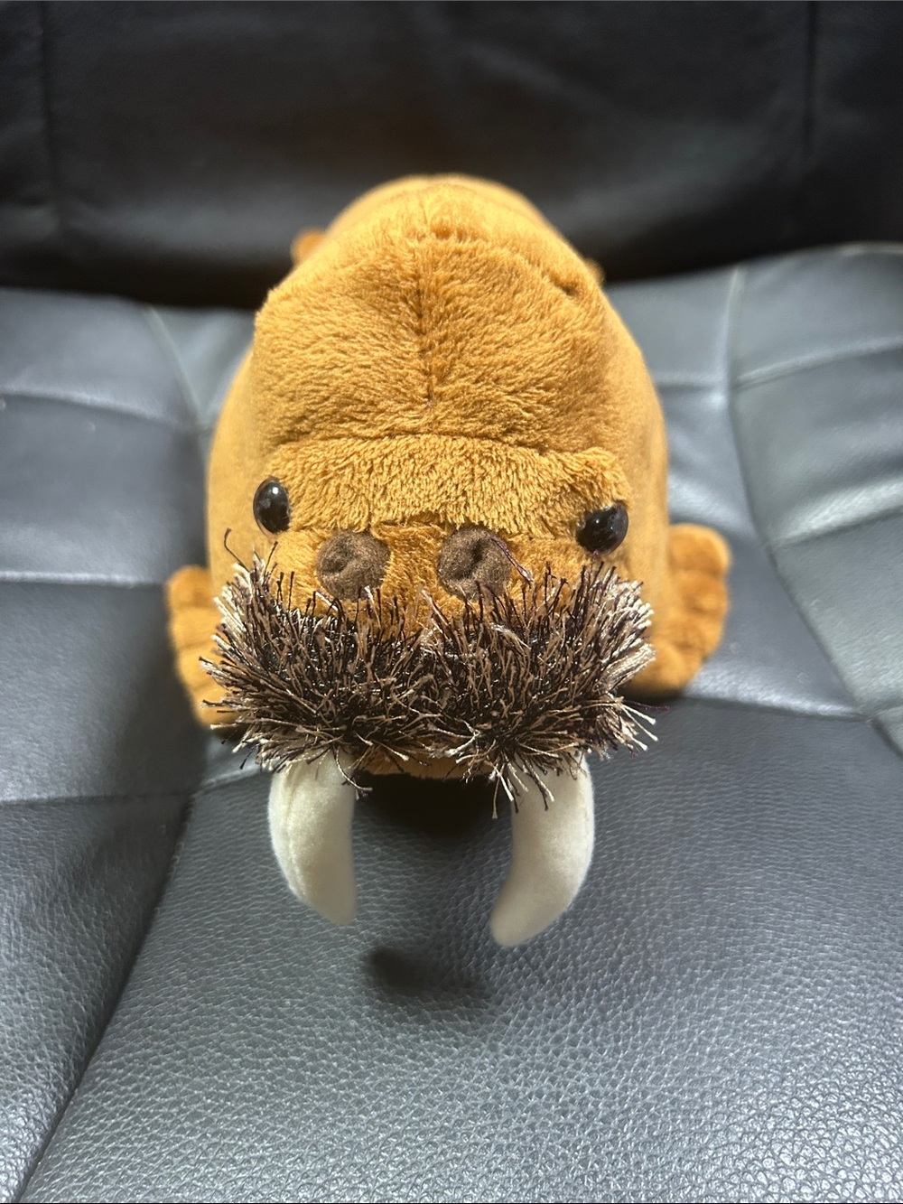 Adventure Planet Plush Walrus Stuffed Animal - Brown